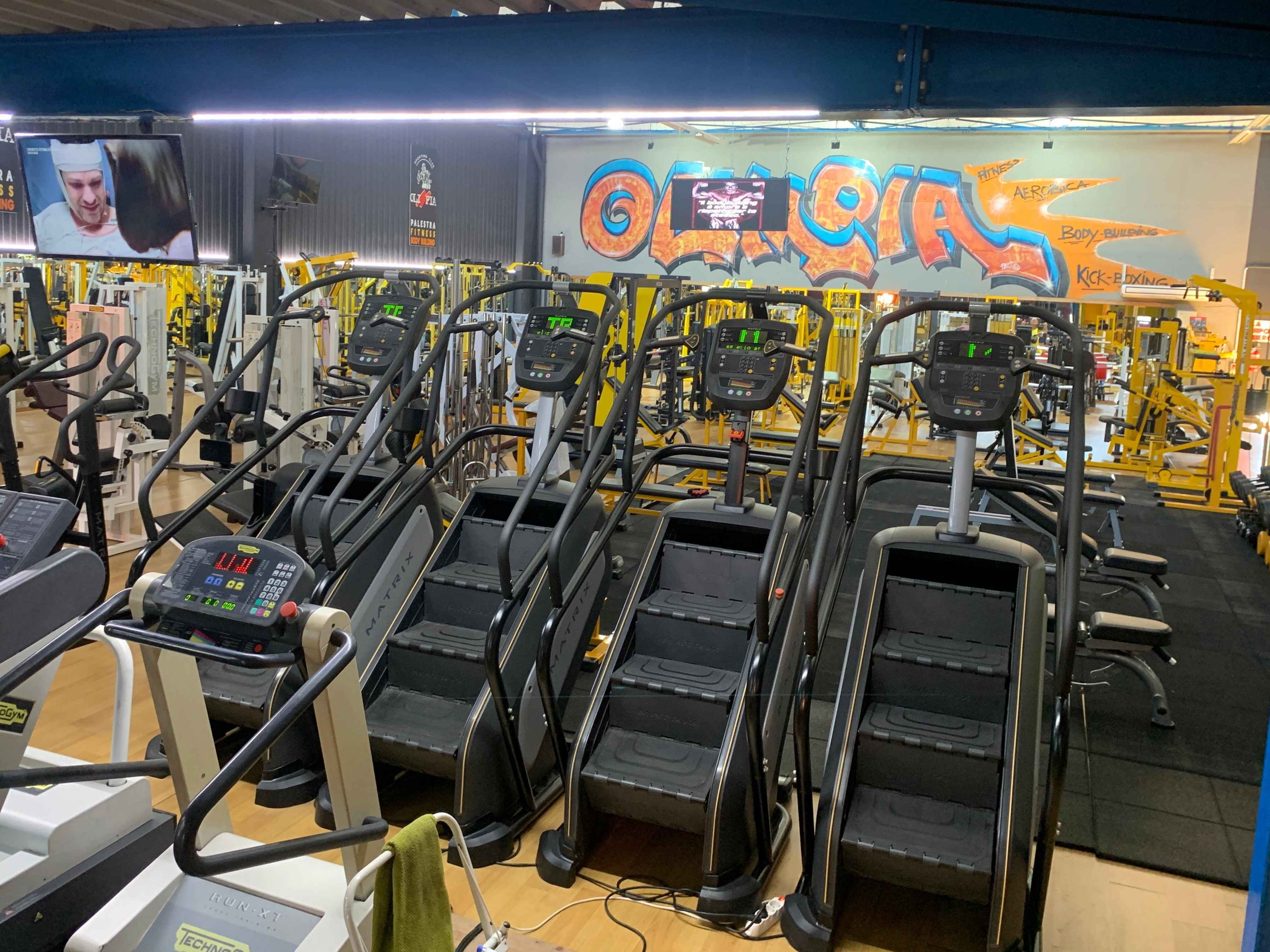 Palestra Olimpia 1