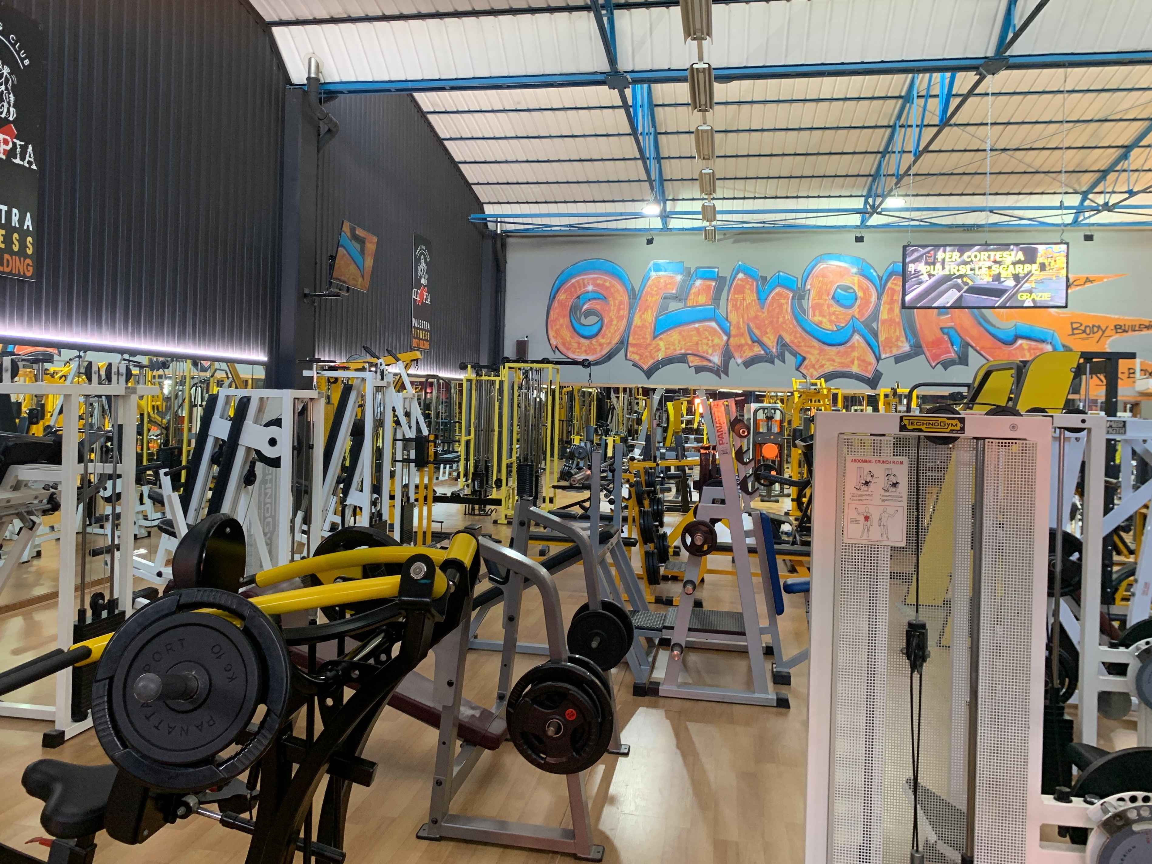 Palestra Olimpia 3