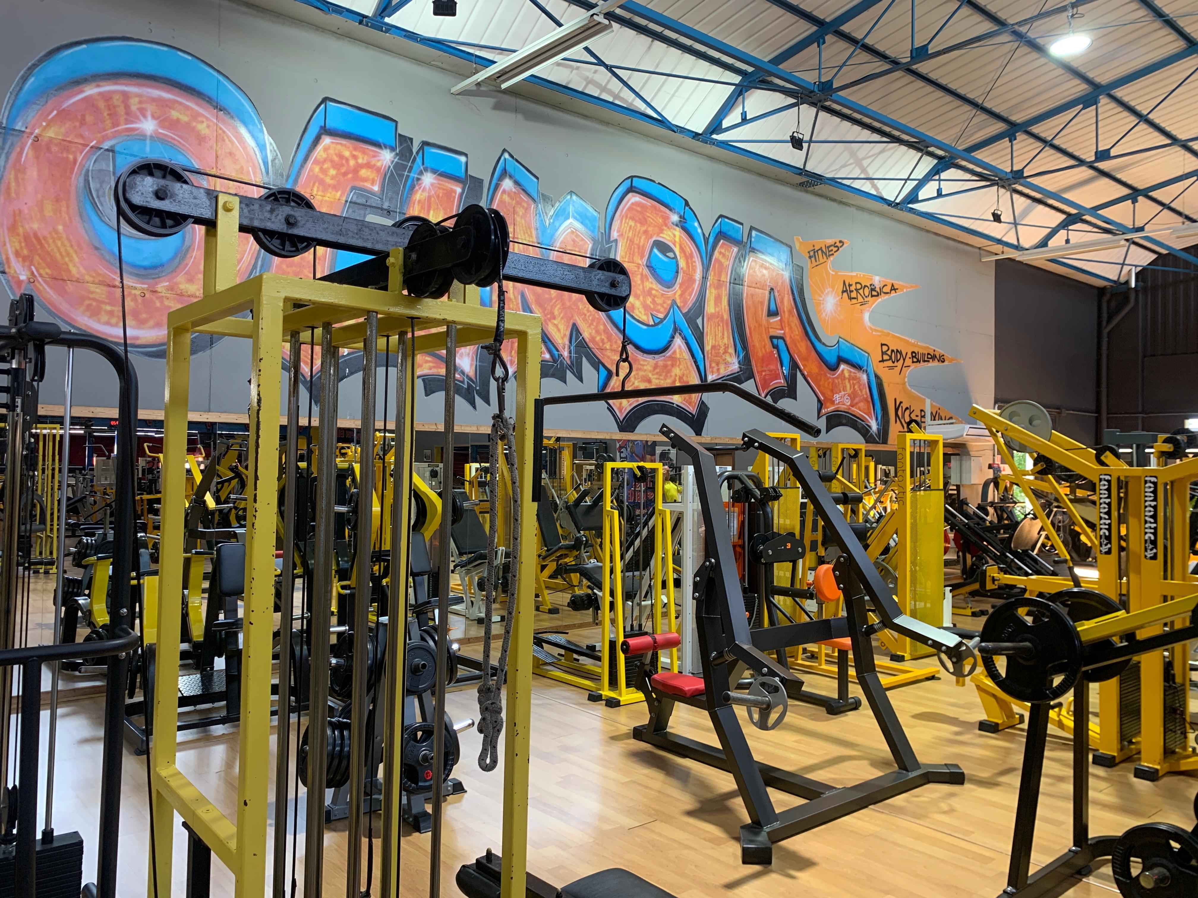 Palestra Olimpia 4