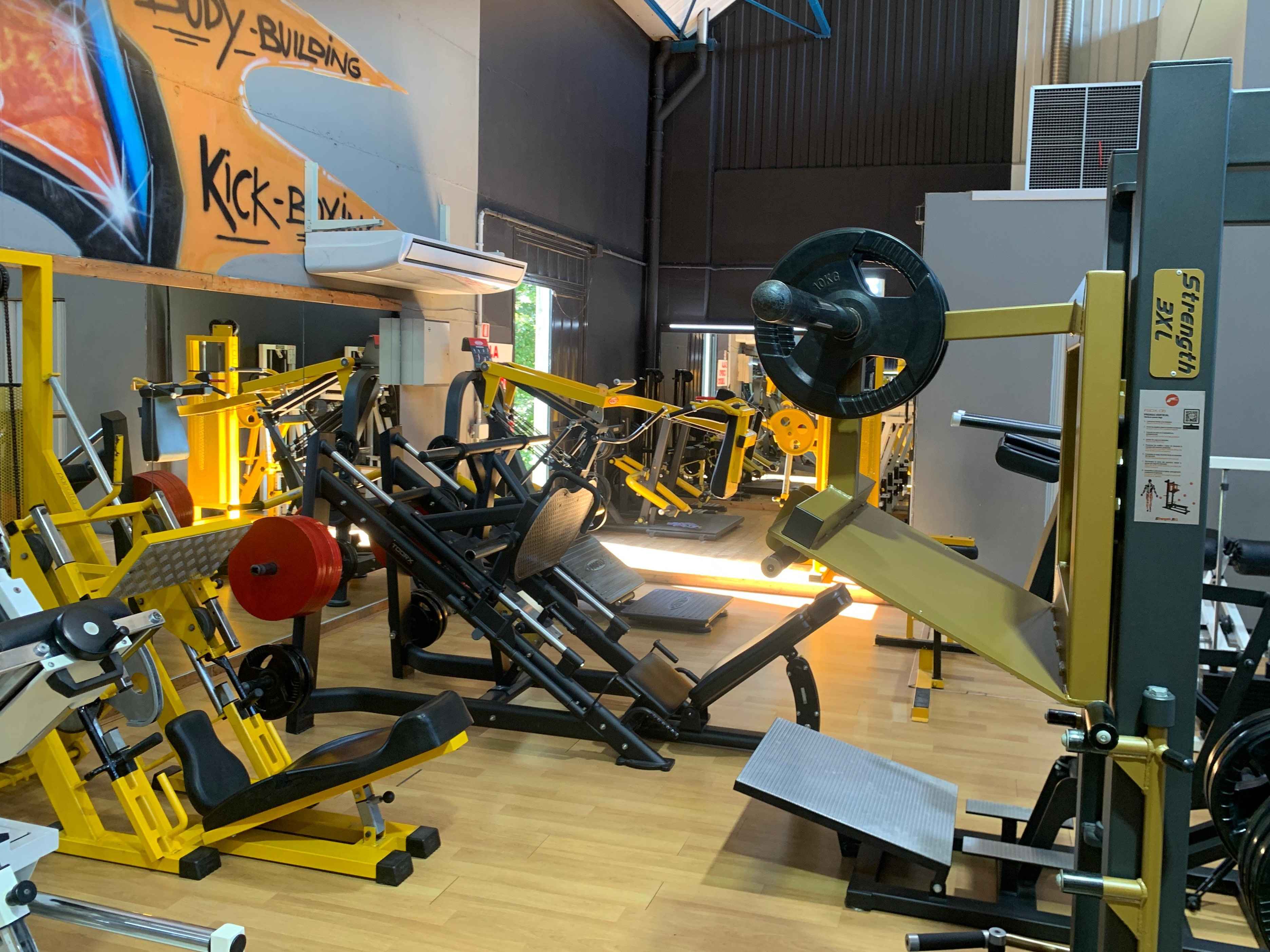 Palestra Olimpia 5